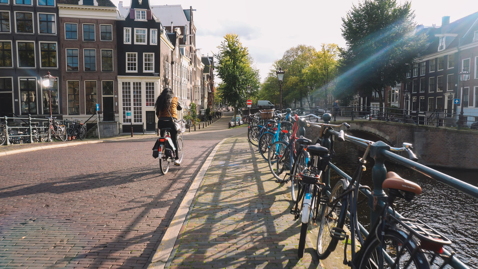 hollanda_universitesi_3